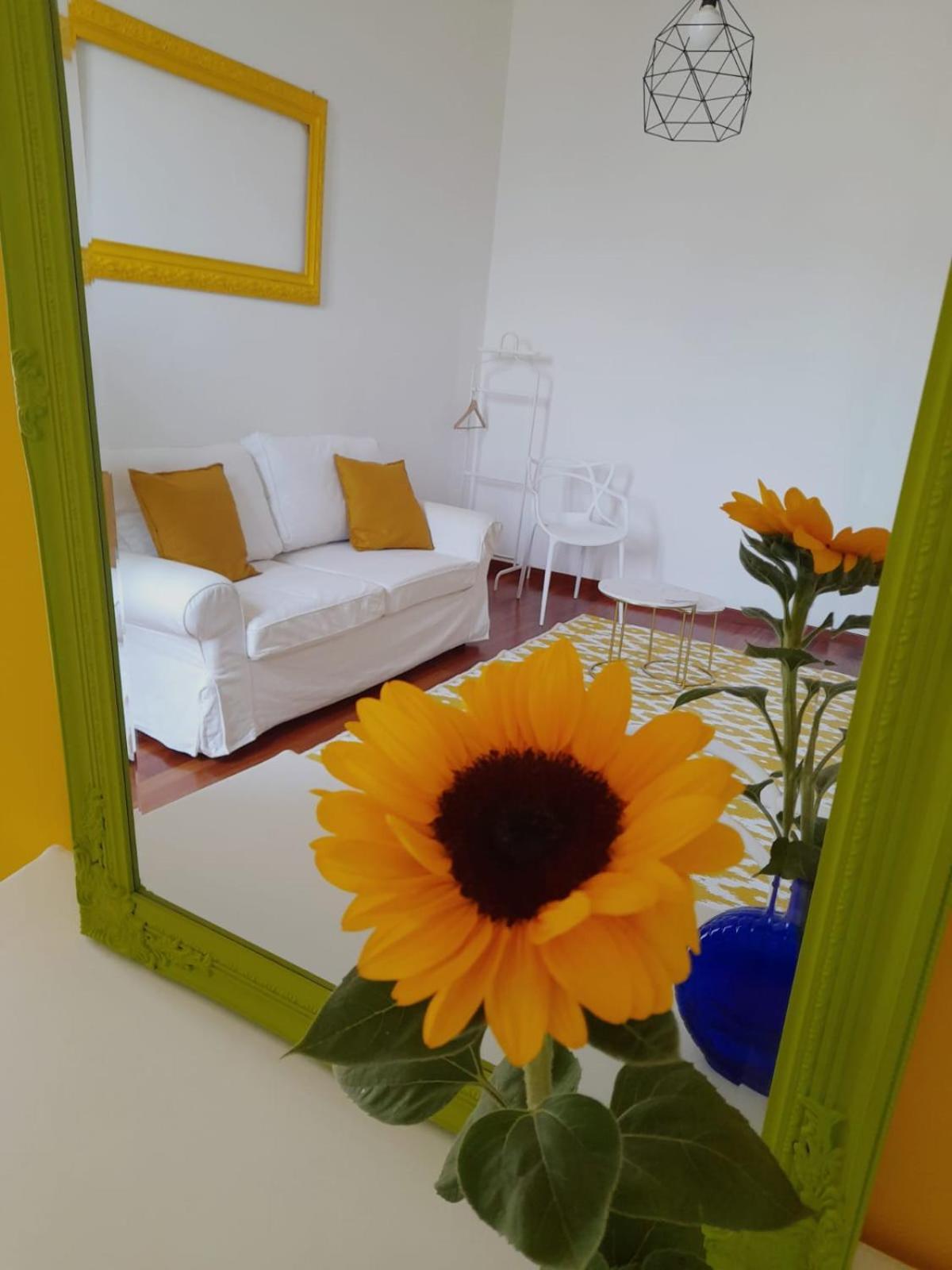 Sole Amare Guest House Bari Exterior photo