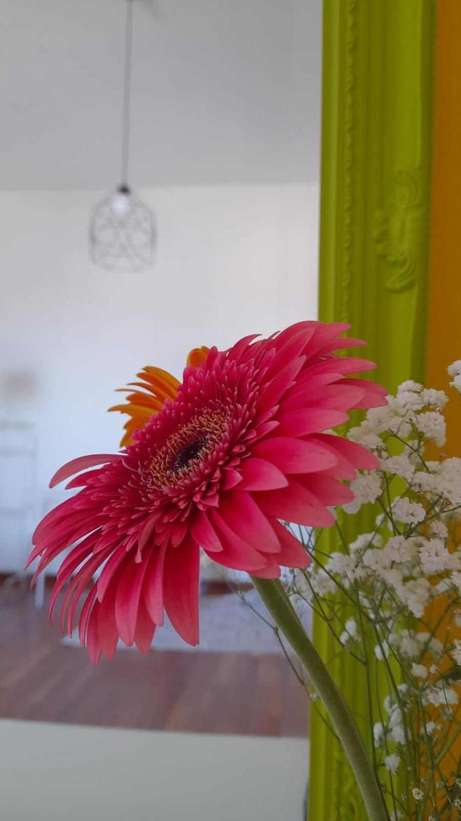Sole Amare Guest House Bari Exterior photo